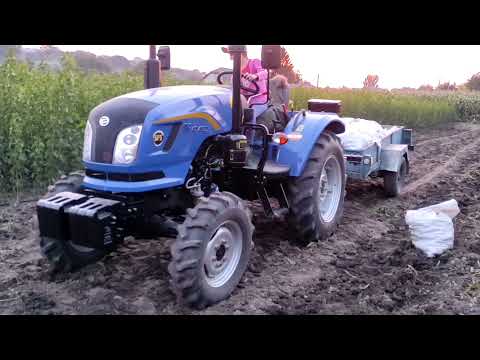Видео: Донгфенг 404 викопка картоплі