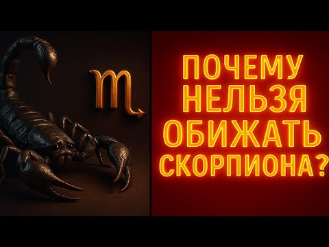 Видео: Никогда не обижай Скорпиона: последствия опаснее, чем ты думаешь