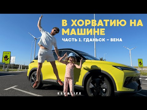 Видео: Путешествие в Хорватию на машине | Часть 1: Гданьск – Вена с котом и собакой