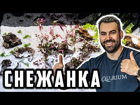 Видео: АРАНЖИРАХМЕ СНЕЖНО БЯЛ АКВАРИУМ