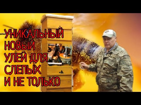 Видео: НОВОЕ УНИКАЛЬНОЕ В ПЧЕЛОВОДСТВЕ, УЛЕЙ ДЛЯ СЛЕПЫХ И НЕ ТОЛЬКО.