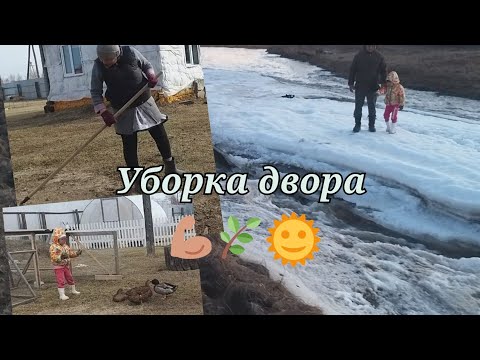 Видео: Уборка двора. Мотивашка 😅