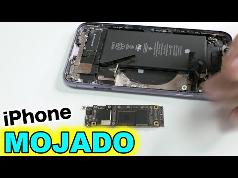 Видео: Решение: Как починить промокший iPhone 11, если он не включается?