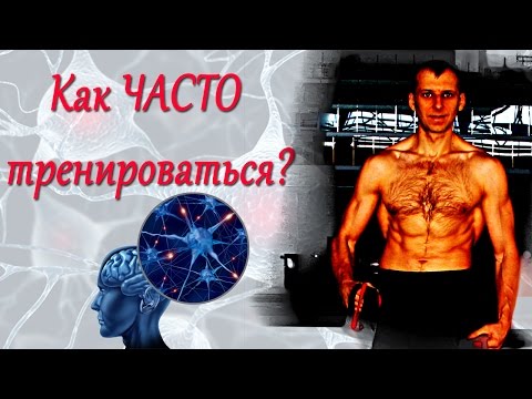 Видео: СЕЛУЯНОВ. Тренировки каждый день? №10