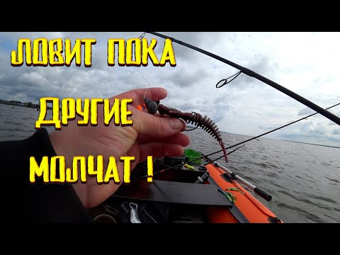 Видео: Ловит судака! Когда другие приманки молчат.Как ловить судака На что ловить судака Приманка на судака