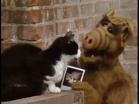 Видео: Альф (поиск Лакки)