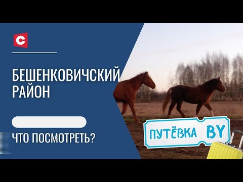 Видео: Лечение лошадьми | Легендарные сражения | Подвиг белорусов | Бешенковичи | Путёвка BY