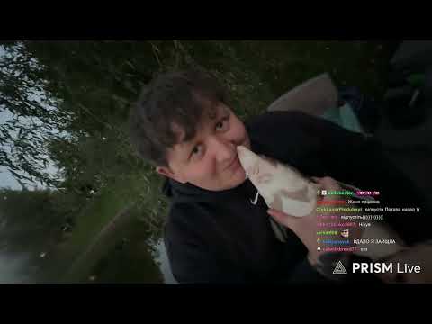 Видео: Топ моменти з УКР ТВІЧА | Осіння рибалочка з Лебігою