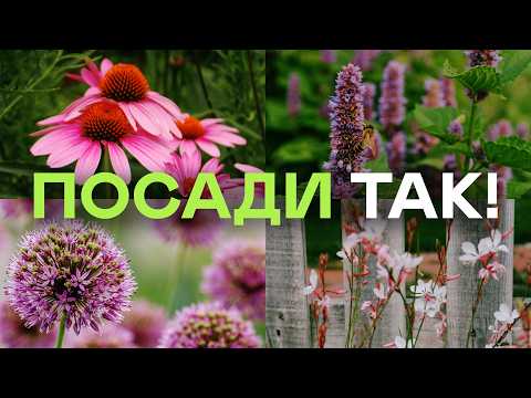 Видео: Именно Так Сочетают Растения Ландшафтники! Рассказала Простым Языком За 20 Минут