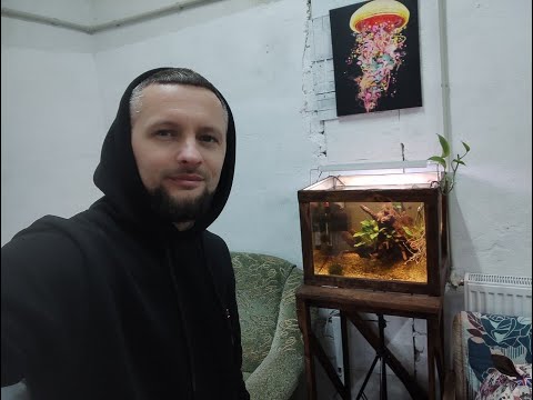 Видео: Очень НЕОБЫЧНЫЙ аквариум / или как освежить старый аквариум!