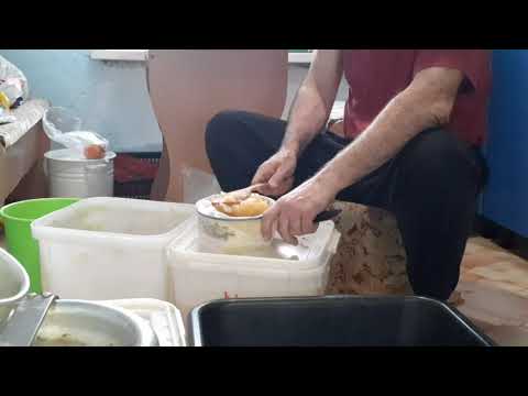 Видео: Осенняя подкормка  пчёл.