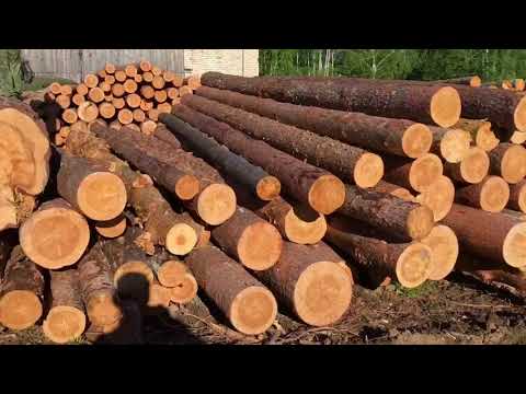 Видео: Т-25 с 2ПТС-4 с лесом #spintires #т25  #лесопилка #кировоградскаяобласть