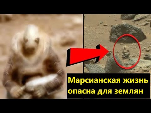 Видео: Марсианская жизнь опасна для землян