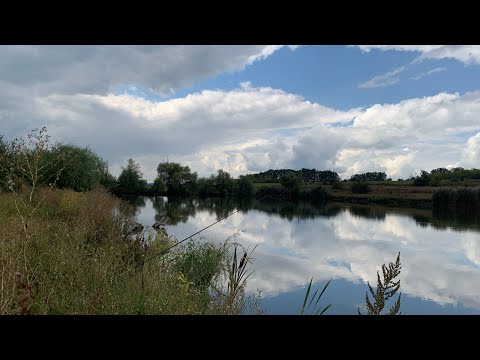 Видео: РЫБАЛКА С ДЕШЕВЫМ КОРАБЛИКОМ!!!