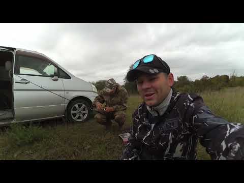 Видео: Спиннинговый батл. Пруд Девятерня, река Кырыкмас.