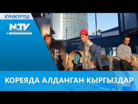 Видео: КОРЕЯДА АЛДАНГАН КЫРГЫЗДАР