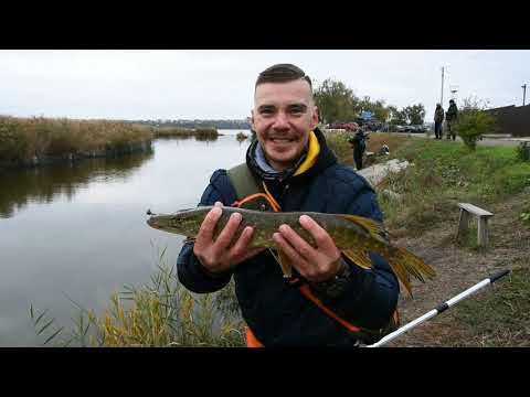 Видео: Жор щуки в ноябре!!! 35 щук за 5 часов!
