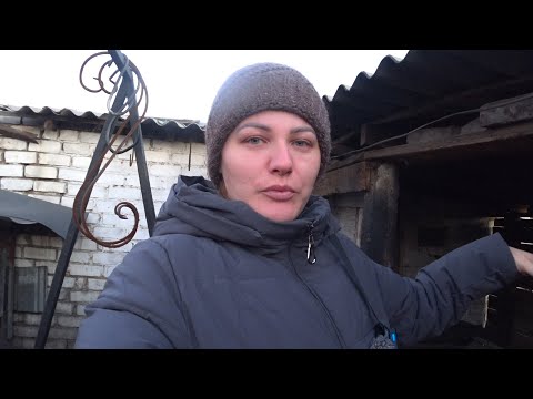 Видео: 🇰🇿 Как живут люди в степи Казахстана.Панчани острая рыба по корейски.Равиль и Света Жизнь в деревне.