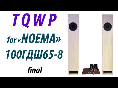 Видео: Не для всех! TQWP для НОЭМА 100ГДШ65-8 Финал.