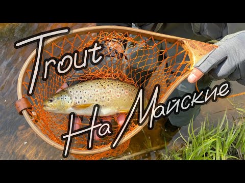 Видео: Форель на спиннинг в мае. Нашел речку с форелью в количестве. Trout seasons. Короткометражка в  4k.