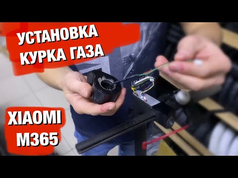 Видео: ЗАМЕНА КУРКА ГАЗА НА XIAOMI M365/PRO