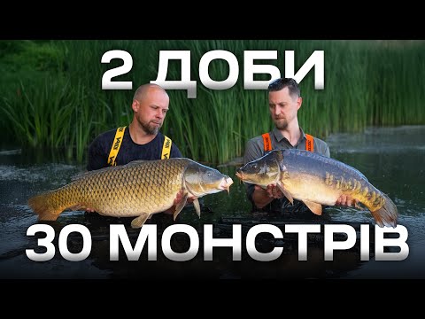 Видео: Ловля коропа в завоз. Корисні поради від профі: пошук точки, корм та інше.