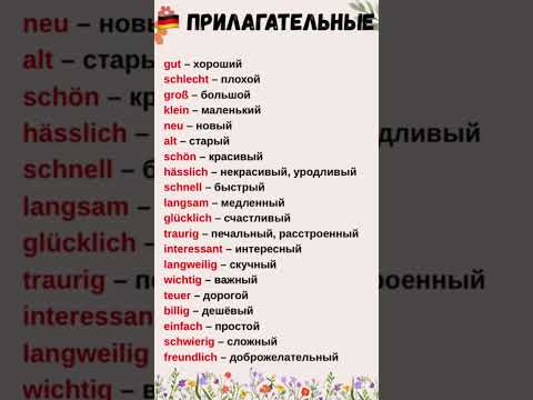 Видео: 🇩🇪ВАЖНЫЕ прилагательные + грамматика | А1 #немецкий #adjektive  #english урокинемецкого #школаонлайн