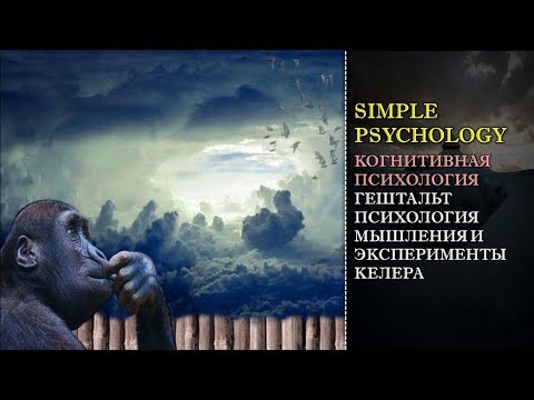 Видео: Когнитивная психология мышления #79. Гештальтпсихология мышления, инсайт и эксперименты Келера