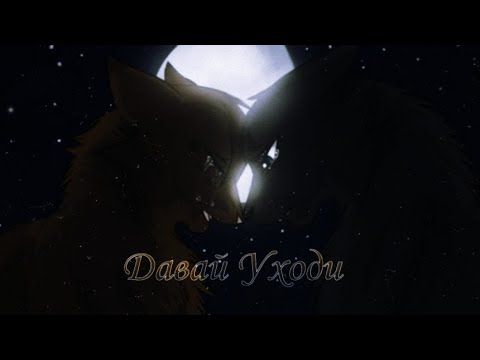 Видео: Клип Коты Воители "Давай Уходи" Грач и Листвичка|CW Crowfeather and Leafpool|√🖤Black Cat𓃠√