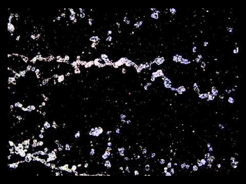 Видео: Loc Dog - Тише тише это сердце моё бьётся