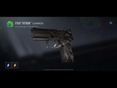 Видео: 31 октября 2025 г.