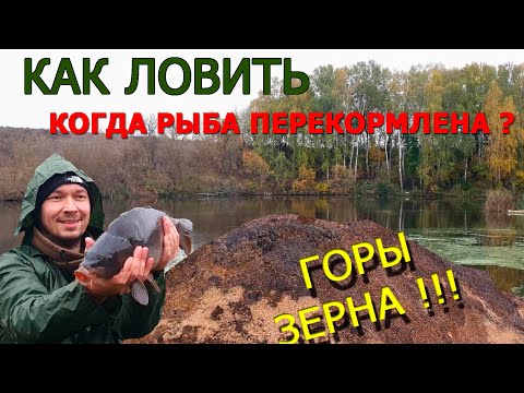 Видео: рыбалка на флет в условиях накормленной рыбы