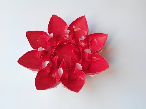 Видео: Цветок 17 (Алексей Жигулёв), Flower 17