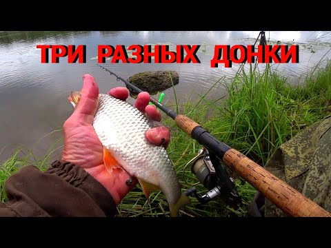 Видео: ПЛОТВА на ПШЕНИЦУ. Пикер ловит, донки молчат. Рыбалка на ОКЕ в конце августа.