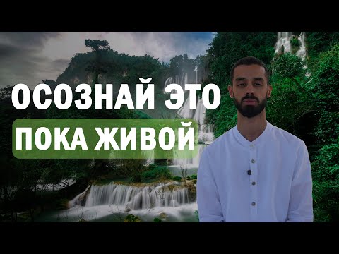 Видео: Названий не существует | Анар Дримс