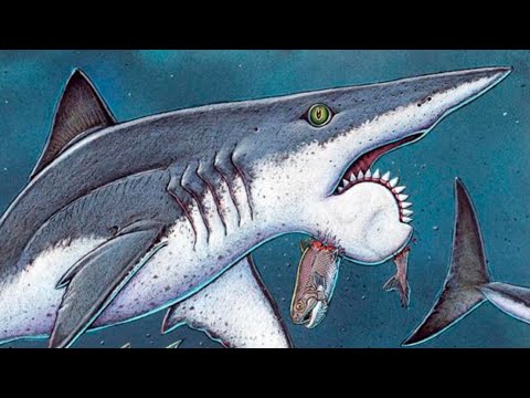 Видео: Древняя челюсть, которая не должна существовать