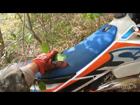 Видео: Лайтовый сентябрьский выезд на Hengjian Z300 S8.