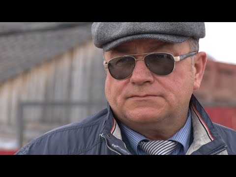 Видео: Один день с Главой Сергеевского сельского поселения