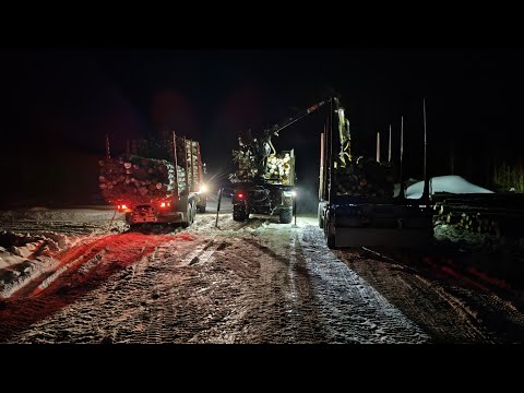 Видео: Вот это погрузка. Перевалка леса. #лесовоз #маз