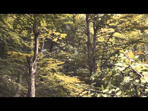 Видео: Професия ХИЖАР (Lodge keeper)