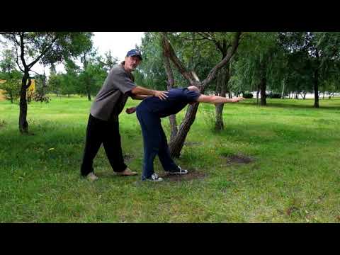 Видео: 5 зверей Сделали полный фильм, что бы желающим заниматься, было легче. все в одном месте.