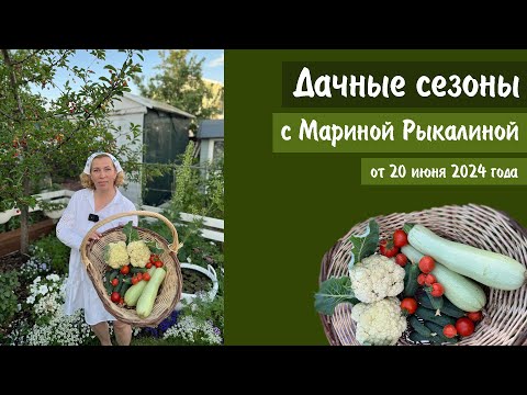 Видео: Дачные сезоны с Мариной Рыкалиной от 20 июня 2024 года