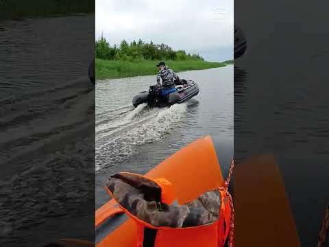 Видео: 15 января 2023 г.