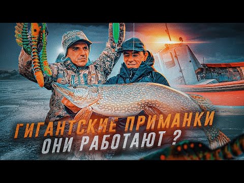 Видео: ГИГАНТСКИЕ ПРИМАНКИ НА ЩУКУ! Увеличение приманок ведет к укрупнению рыбы? MAIN TARGET. 4K