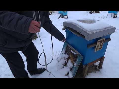 Видео: Увеличиваем Вентиляцию в январе.  Слушаем Пчёл. Удаляем Подмор.