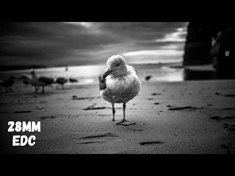 Видео: 🔴 Этот объектив ПРЕВОСХОДИТ новый 28-мм APO (Brightin Star 28mm f2.8 для Leica)