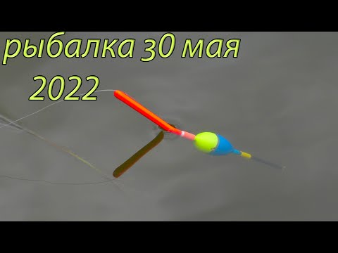 Видео: Рыбалка с Фиником  30 мая 2022 на новом месте