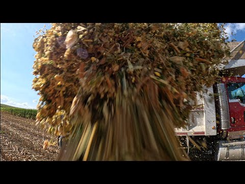 Видео: Оператор никогда не умирает