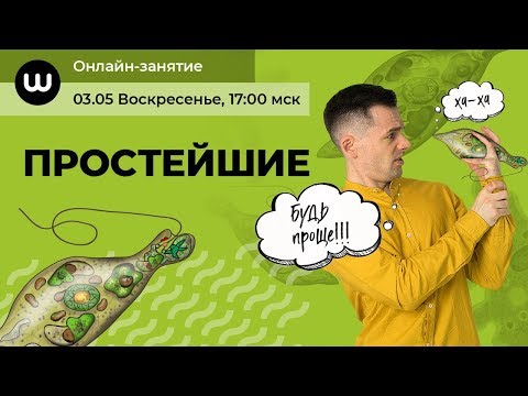 Видео: ПРОСТЕЙШИЕ организмы | ЕГЭ Биология 2020 | Даниил Дарвин