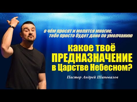 Видео: Какое твоё предназначение в Царстве Небесном? Пастор Андрей Шаповалов.